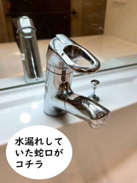 【画像】水漏れしていた洗面蛇口の写真です。